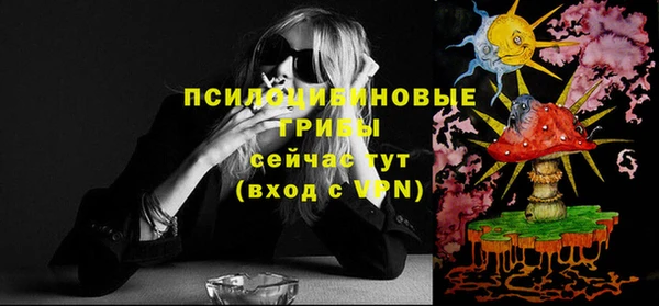 бошки Абаза