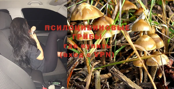 каннабис Алексин